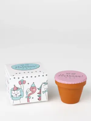 Blumentöpfchen - Hip Hip Hurraaa