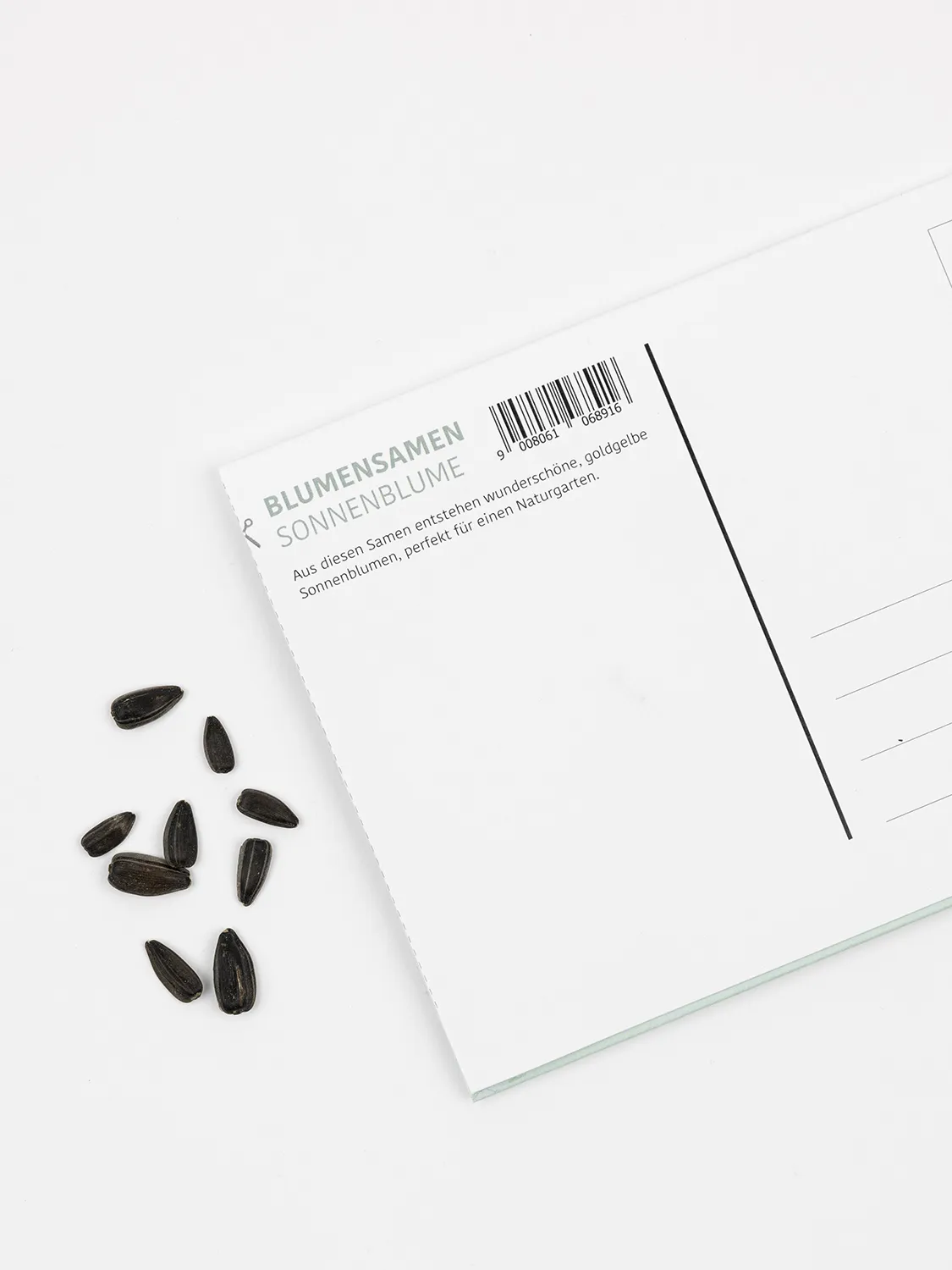 Postkarte mit Sonnenblumensamen - Der See ruft 233 Postkarte mit Sonnenblumensamen - Der See ruft – Bild 3