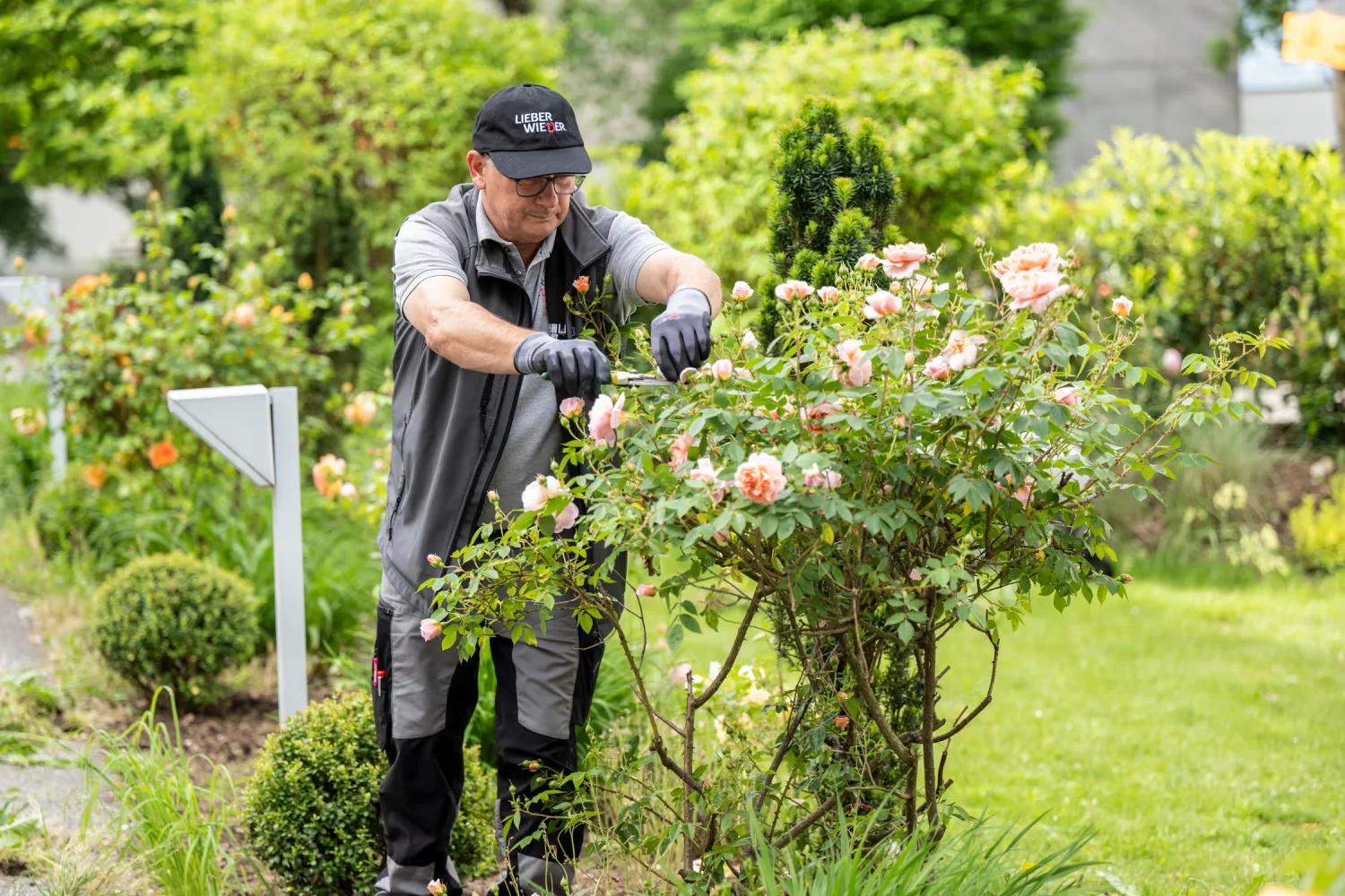 gallery gws gruenraumpflege