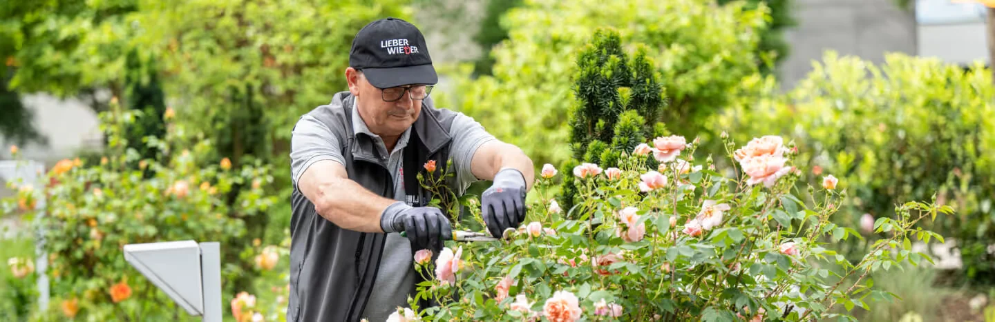 gartenpflege img fullwidth area